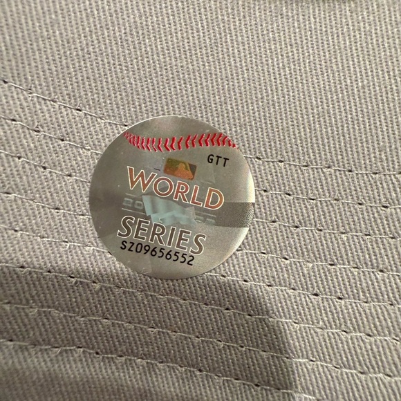 Houston Astros World Series Champions 2022 Gray Cap - Picture 4 of 10